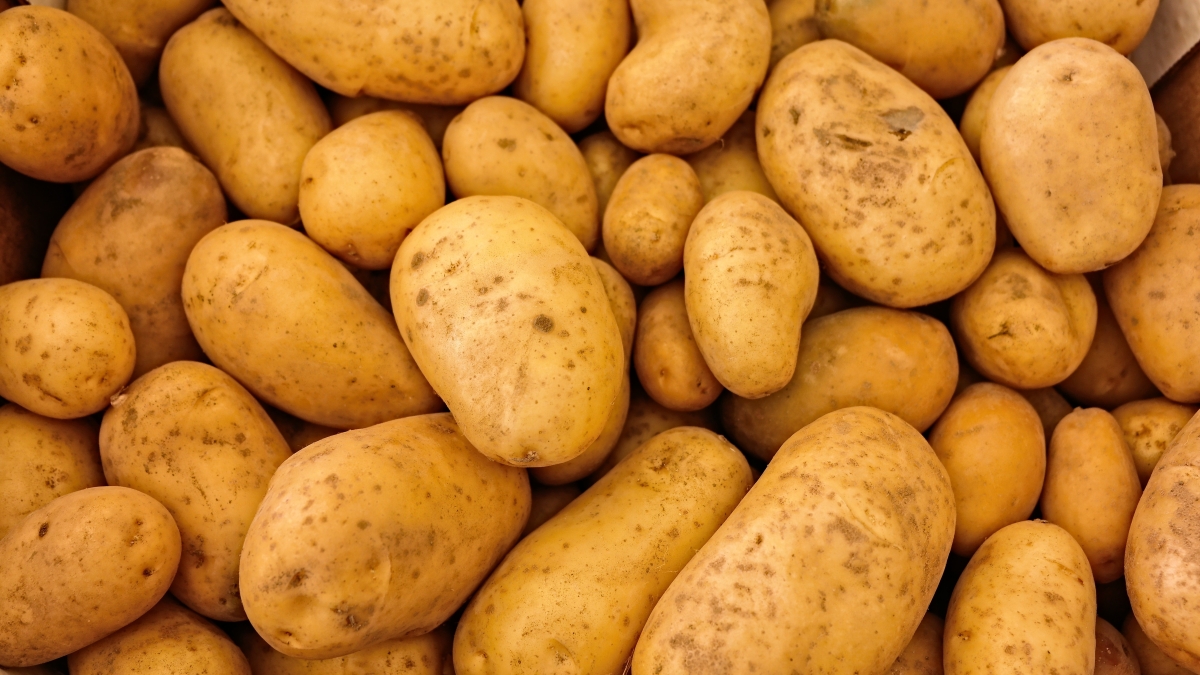 El manejo poscosecha influye en los niveles de glicoalcaloides en patatas y snacks.jpg